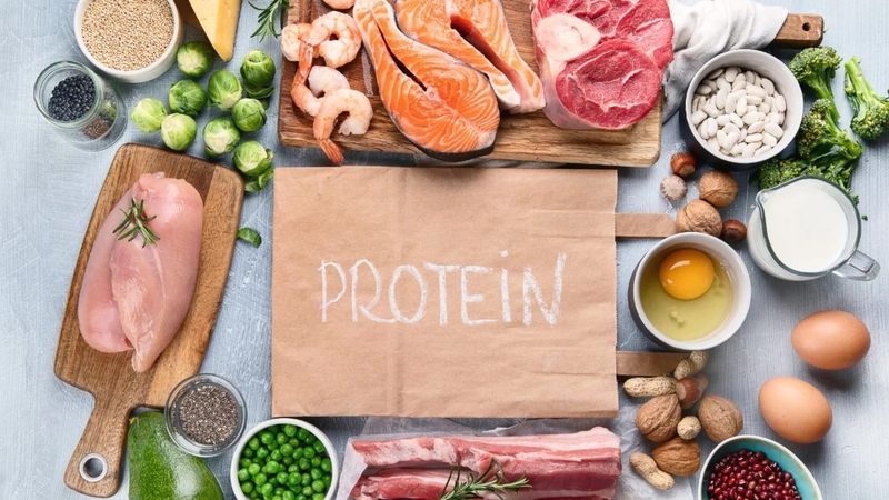 Hỏi đáp cùng bác sĩ: Ăn nhiều chất đạm có béo không? 1