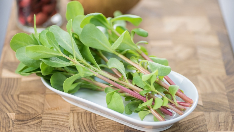 Hỏi đáp cùng chuyên gia: Bầu ăn được rau sam không? 1