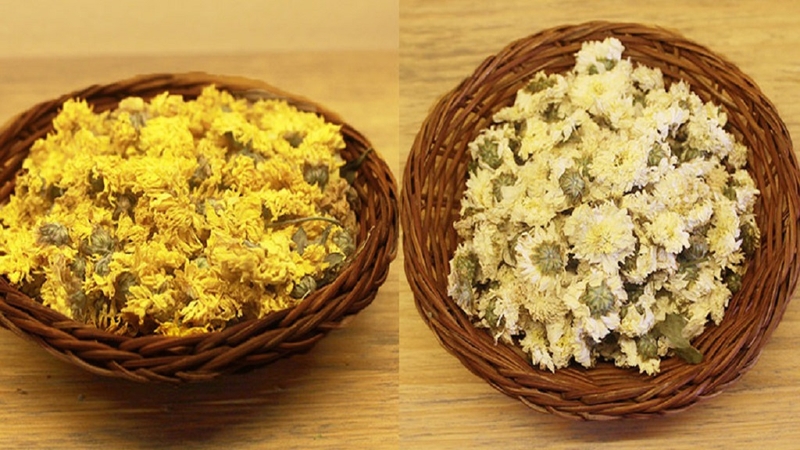 Cả trà hoa cúc trắng lẫn cúc vàng đều có khả năng thanh nhiệt và giúp ngủ ngon, sâu giấc hơn
