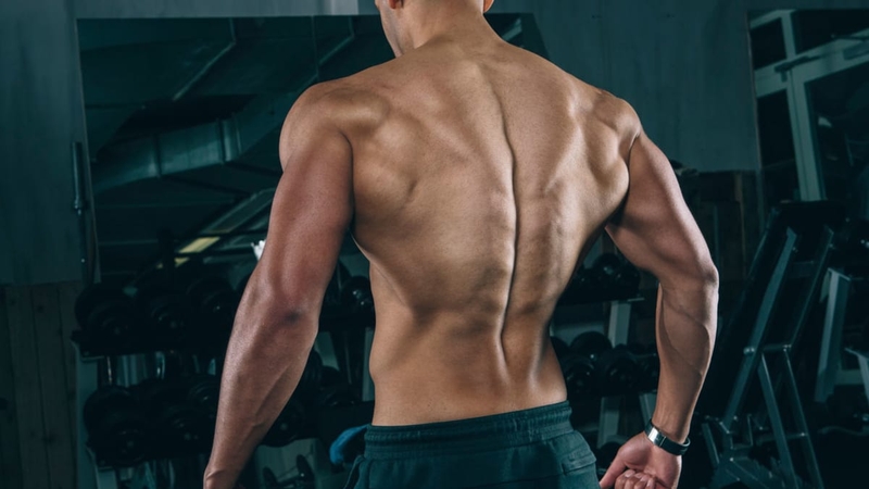 Hõm Apollo là gì? Ý nghĩa của hõm Apollo ở nam giới 2