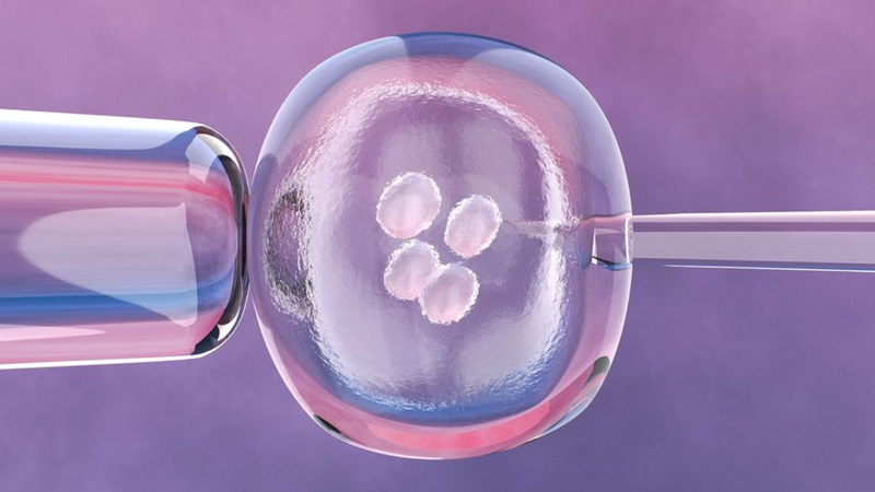 Hỗn hợp thuốc mới tăng cường tế bào CAR-T để điều trị ung thư 2