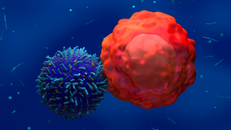 Hỗn hợp thuốc mới tăng cường tế bào CAR-T để điều trị ung thư 1