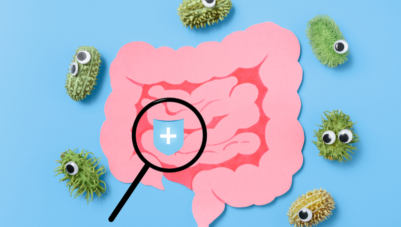 Hôn nhau có lây vi khuẩn HP không? Sự thật cần biết để bảo vệ sức khỏe 2