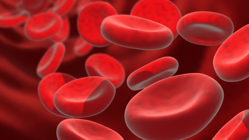 Hồng cầu dạng hình bia có thể liên quan đến bệnh thiếu máu, phản ánh rối loạn trong quá trình tạo hemoglobin
