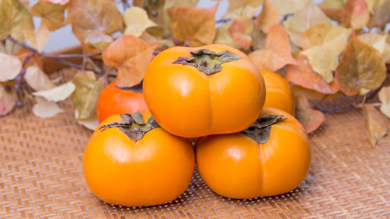 Hồng mật Vân Sơn có công dụng gì đối với sức khỏe?3