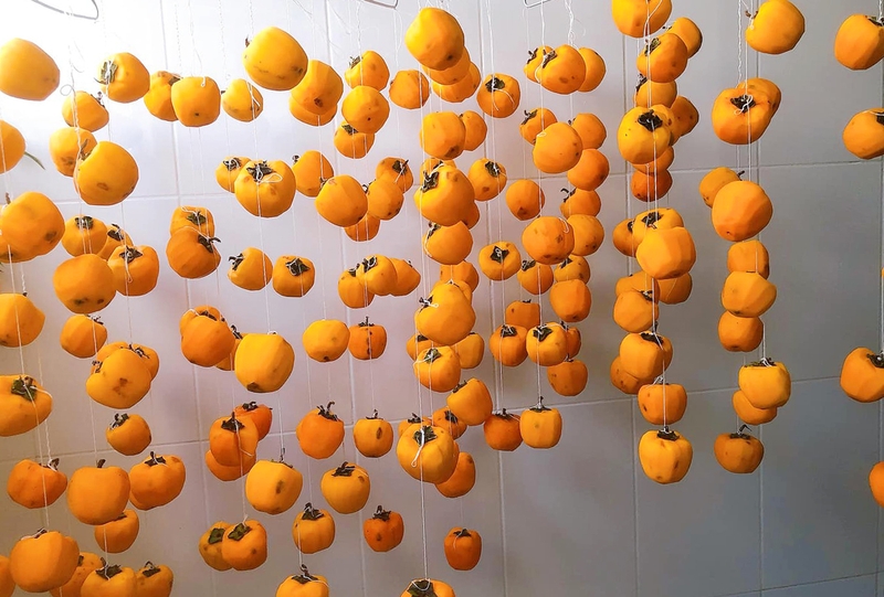 Lợi ích sức khỏe từ quả hồng treo gió