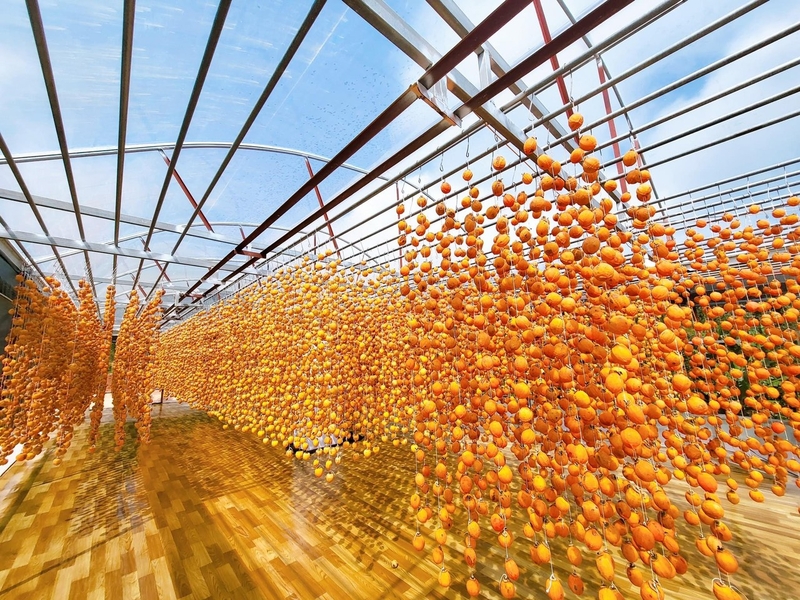 Hồng treo gió là gì?