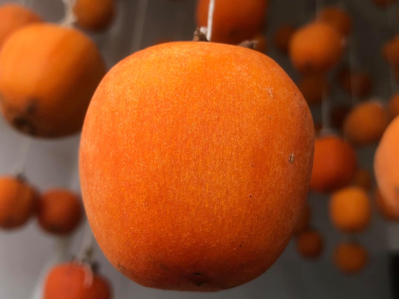 Những điều cần chú ý khi ăn hồng treo gió