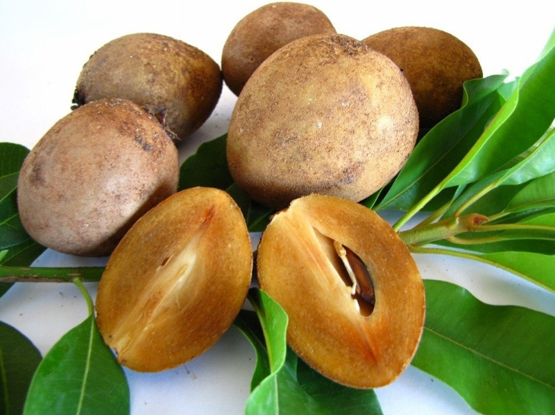 Hồng xiêm có tác dụng gì khi chứa nhiều thành phần dinh dưỡng? 1