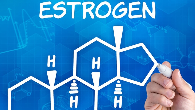 Hormone Estrogen: Vai trò và tác dụng đối với cơ thể con người 1