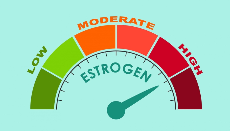 Hormone Estrogen là gì? Estrogen có tác dụng gì? 3