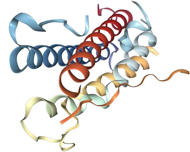 HPL là gì? Nguồn gốc và ý nghĩa của xét nghiệm HPL 2