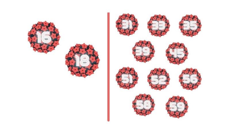 HPV 66 không nằm trong nhóm có nguy cơ gây ung thư cao
