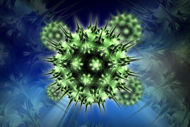 HPV type 56 là gì? Phương pháp điều trị virus HPV type 56 là gì? 1