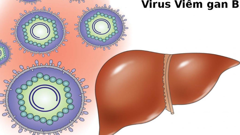 Người bị viêm gan B sống được bao lâu? 1