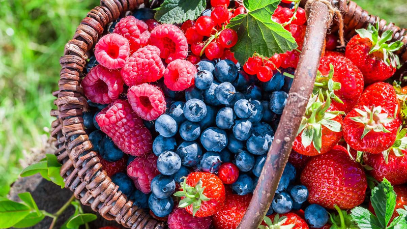10 loại hoa quả ít calo bạn nên biết để giảm cân nhanh hơn 2