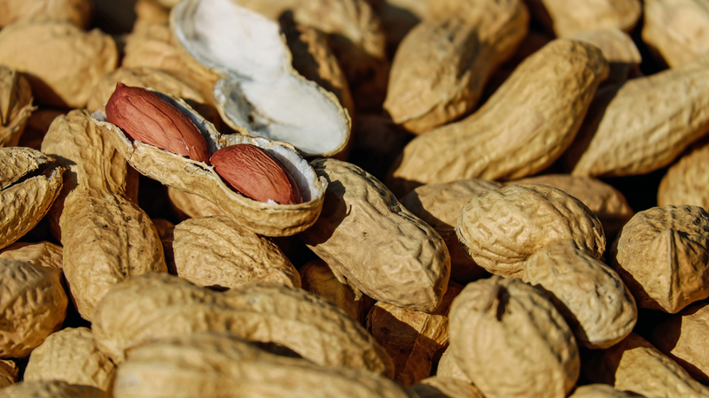 10 thực phẩm giàu Vitamin E mà bạn nên bổ sung thường xuyên 1