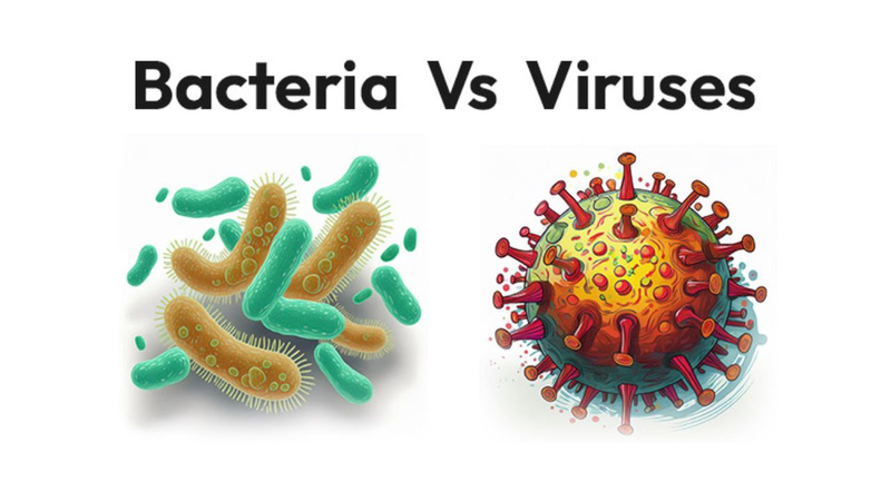 phan-biet-virus-va-vi-khuan-khac-nhau-ra-sao-va-anh-huong-the-nao 1