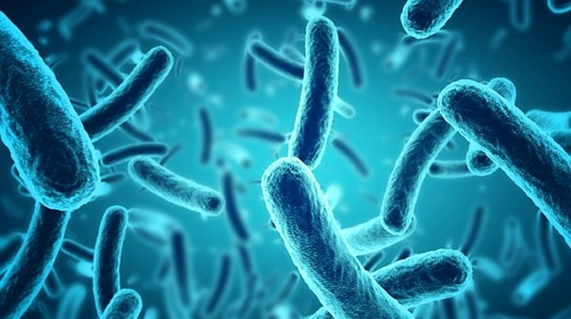 Tiêu chảy nhiễm khuẩn – Nguyên nhân và cách điều trị 2