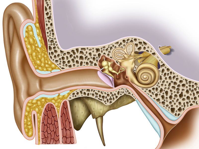 Những điều cần biết về chấn thương tai do âm thanh 1