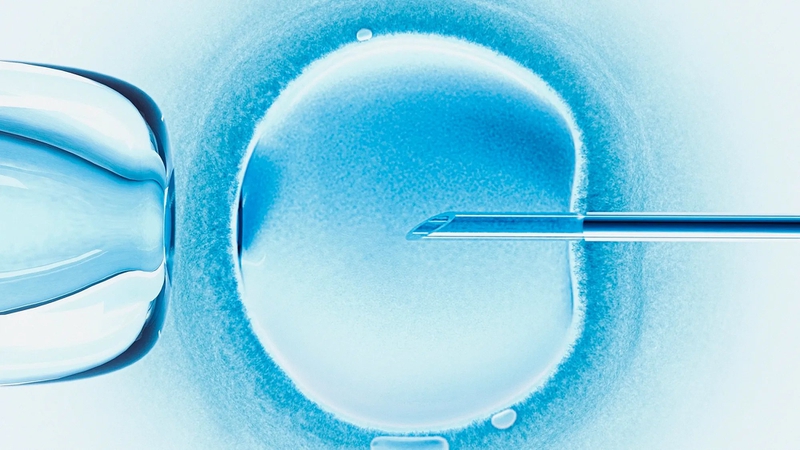 Giải đáp những thủ tục làm IVF cho người nước ngoài tại Việt Nam 1