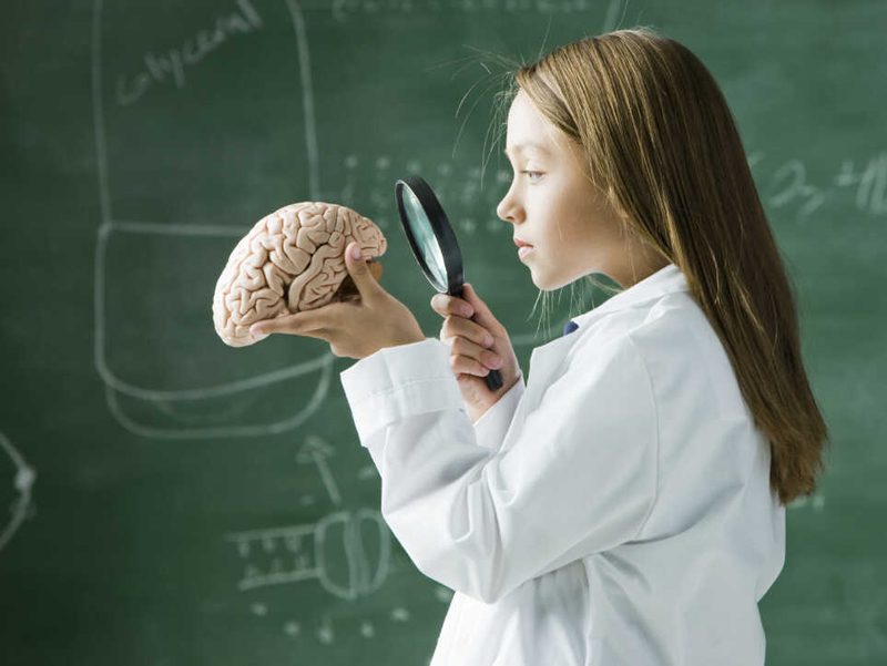 3 giai đoạn vàng phát triển trí não ở trẻ phụ huynh không nên bỏ lỡ3