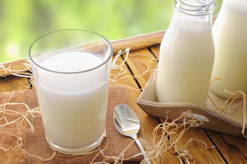 4 cách bảo quản sữa tươi khi không có tủ lạnh hiệu quả - Bạn đã biết chưa? 1