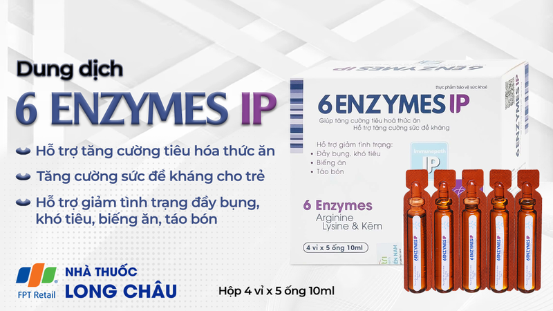 6-enzymes-jp.jpg