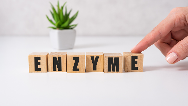 7 loại thực phẩm bổ sung enzyme tiêu hóa mà bạn nên biết 1