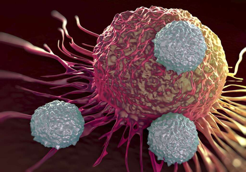 9 dấu hiệu ung thư gan giai đoạn9 dấu hiệu ung thư gan giai đoạn cuối và biện pháp điều trị ung thư gan phổ biến 1cuối và biện pháp điều trị ung thư gan phổ biến 4