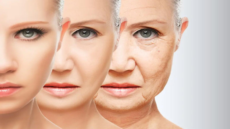 9 tác hại của việc lười ăn hoa quả ảnh hưởng tới sức khoẻ bạn 3