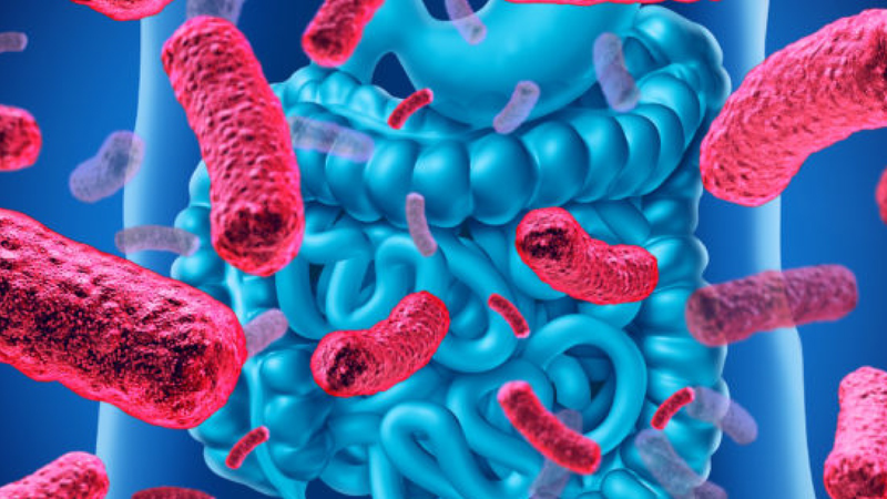 Bifidobacterium là gì? Công dụng và liều dùng 2