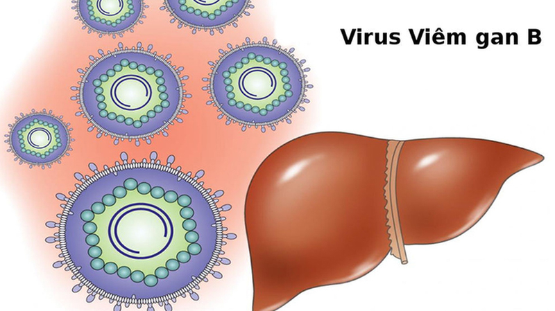 Cách chữa bệnh viêm gan B tại nhà1.jpg