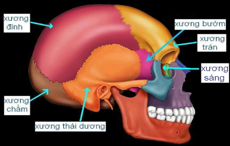 Cau-truc-hop-so-nguoi-va-nhung-dieu-can-biet 2.png