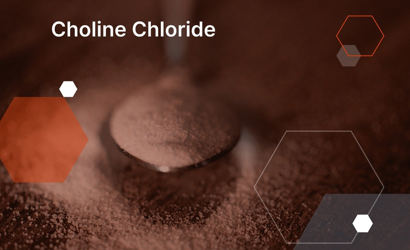 Choline Chloride là gì? Công dụng của Choline Chloride với sức khỏe 1