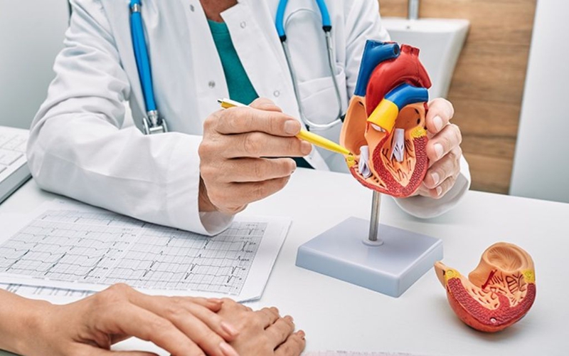 Dị dạng mạch vành là gì? Nguyên nhân, triệu chứng và phương pháp điều trị 4