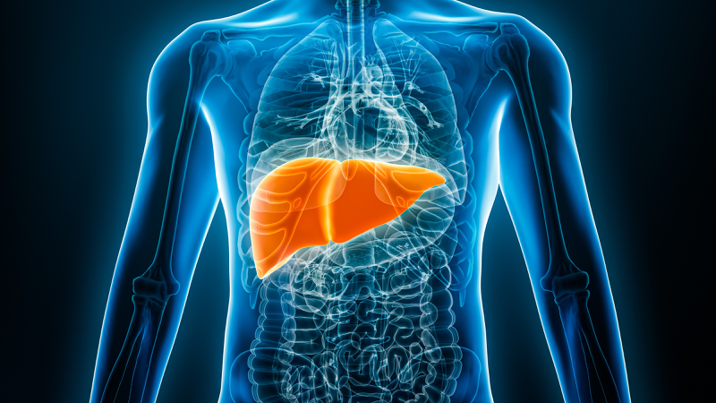 Erythropoietin là gì? Những điều người bệnh cần hiểu rõ trước khi dùng thuốc 3.jpg