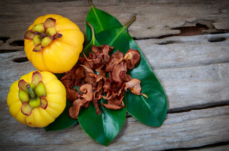 Garcinia Cambogia là gì và có tác dụng gì 4