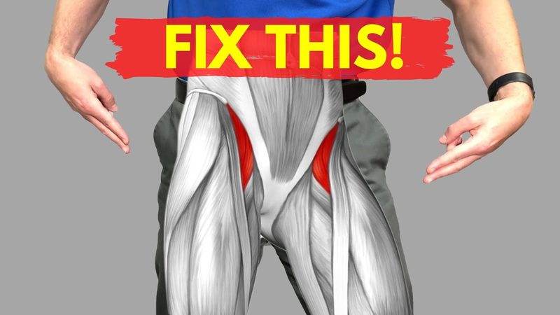 Vị trí của nhóm cơ Hip Flexor trên cơ thể 1