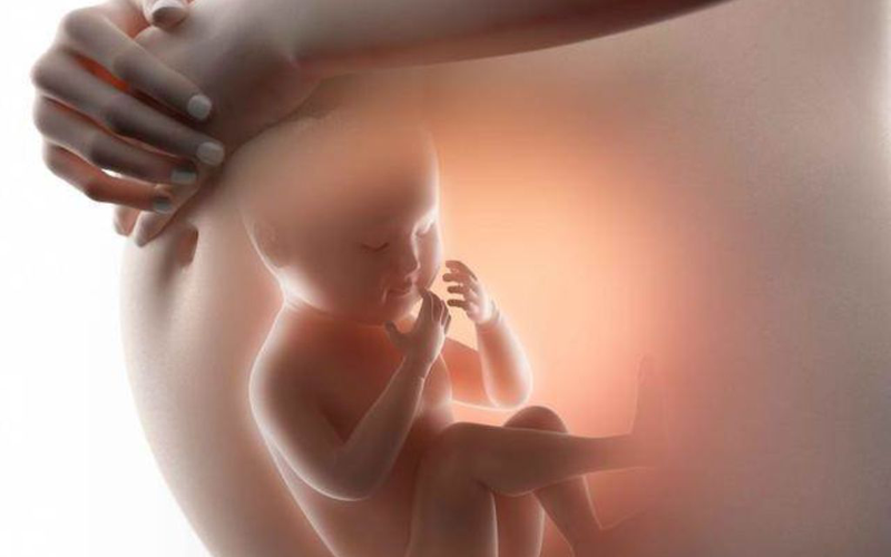 Kết quả siêu âm thai dựa trên những chỉ số nào? Ý nghĩa các chỉ số 4