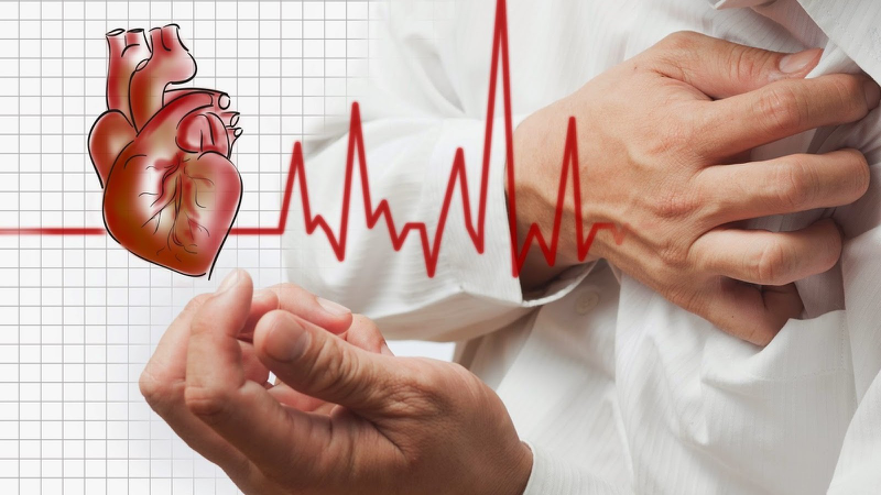 L-Arginine làm tăng nguy cơ tử vong nếu dùng sau cơn đau tim