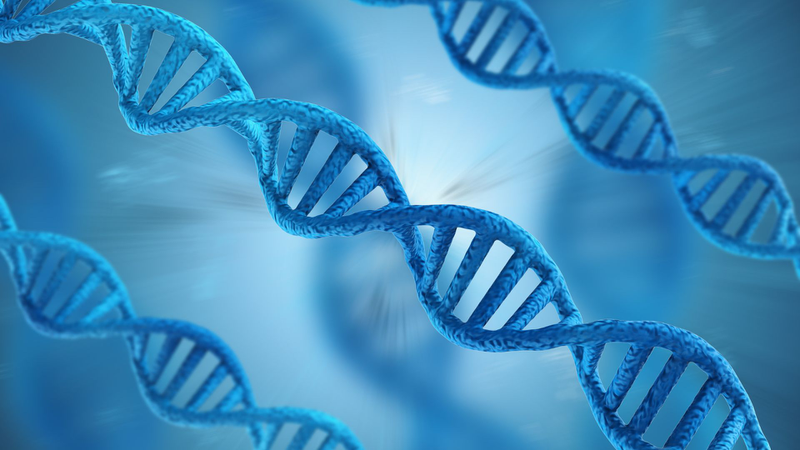 Lipoprotein a​ là gì? Biện pháp giảm nguy cơ mắc phải bệnh tim mạch 2