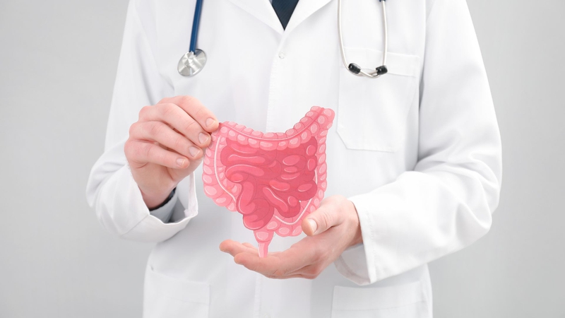 Regorafenib chủ yếu được thải trừ qua phân