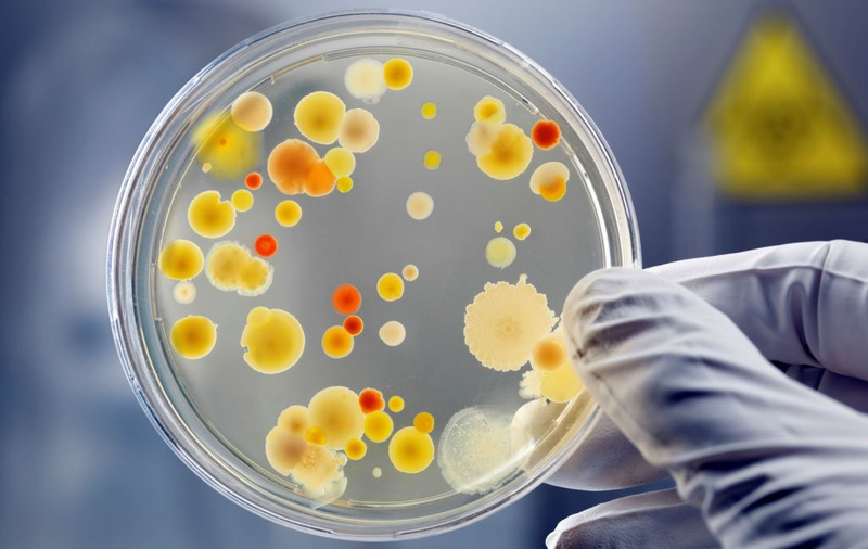 Viêm cơ nhiễm khuẩn là gì? Một số thông tin về viêm cơ nhiễm khuẩn bạn cần biết 5.
