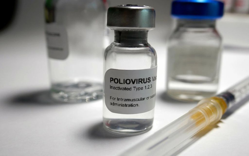 Vắc xin bại liệt có những loại nào? Đặc điểm của từng loại vắc xin 2