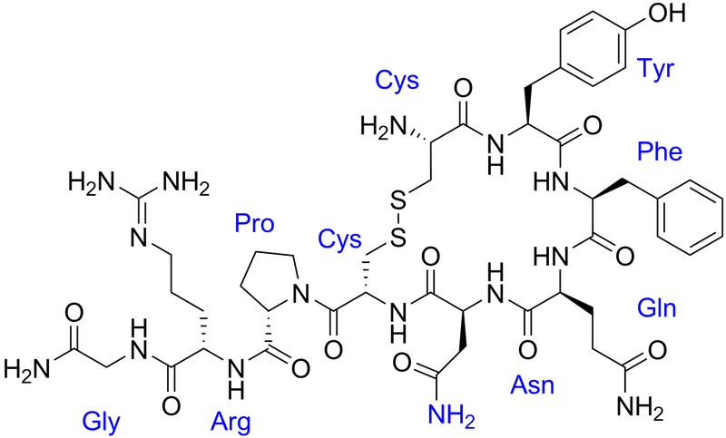 Tìm hiểu về hormone vasopressin