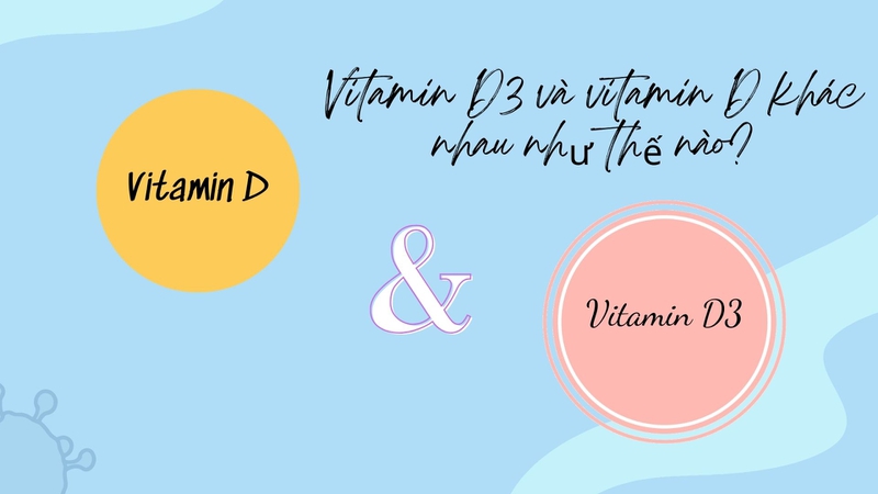 Vitamin D3 và vitamin D khác nhau như thế nào là câu hỏi thắc mắc của nhiều người