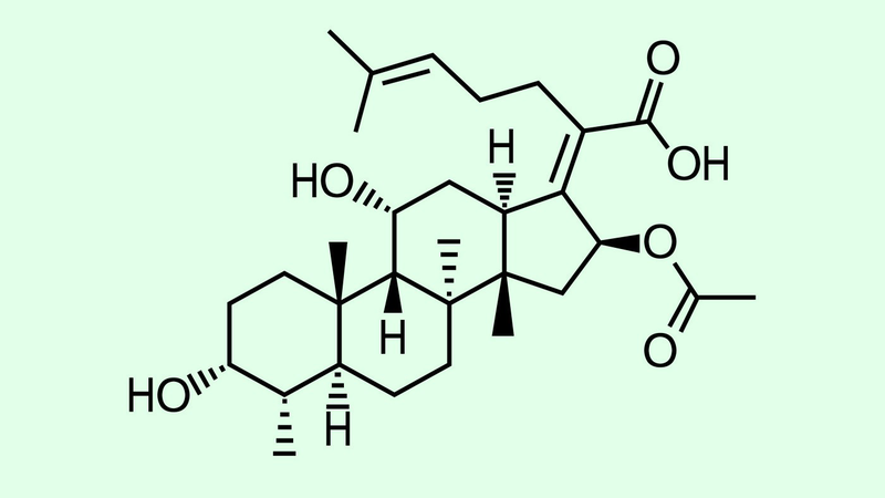 Acid fusidic là gì? Công dụng và những lưu ý khi dùng 1.jpg