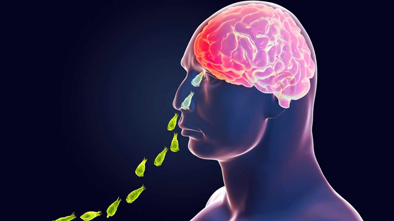 Amip ăn não lây nhiễm sang người như thế nào? Cách dự phòng bệnh 2