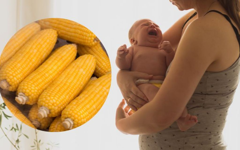 Ăn bắp có mất sữa không? Tìm hiểu thực hư về việc ăn bắp ngô ở phụ nữ sau sinh 1